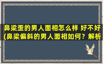 鼻梁歪的男人面相怎么样 好不好(鼻梁偏斜的男人面相如何？解析面相好坏)